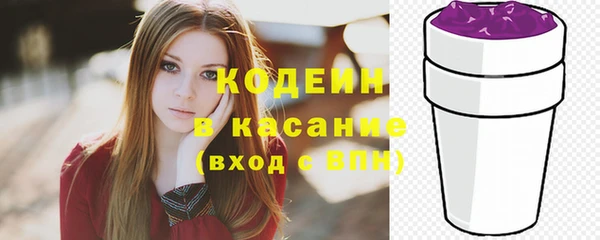 ECSTASY Алзамай
