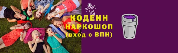 ПСИЛОЦИБИНОВЫЕ ГРИБЫ Дмитриев