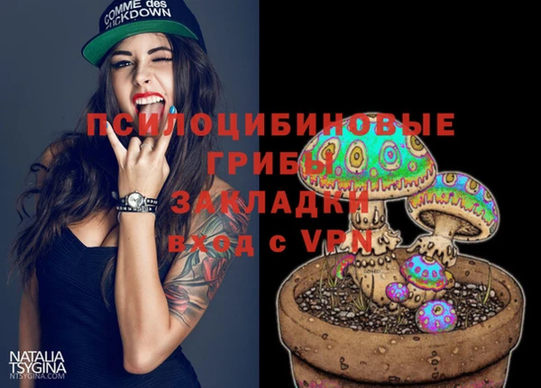 индика Алексин