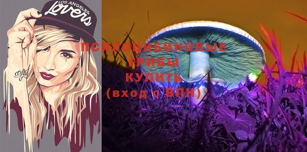 эйфоретик Абаза