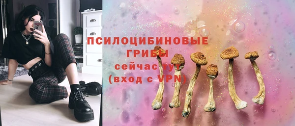 индика Алексин