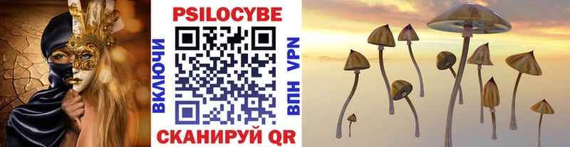 Галлюциногенные грибы прущие грибы  Узловая 